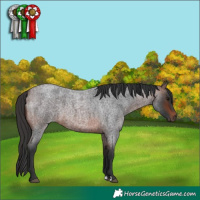 Horse Color:Brown Roan