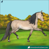 Horse Color:Painted Bay Dun