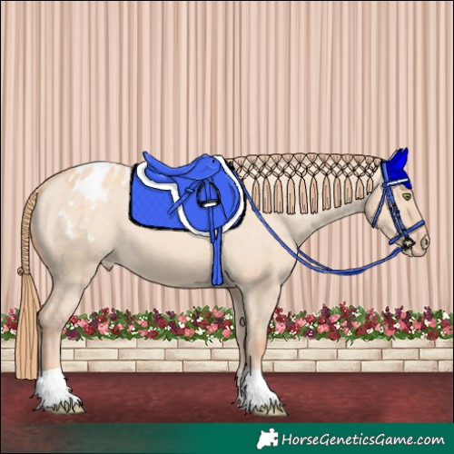Horse Color:Gold Champagne Dun Varnish 