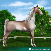 Horse Color:Gray Silver Black Pearl Tobiano 