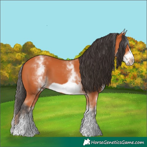 Horse Color:White Spotted Bay Frame 