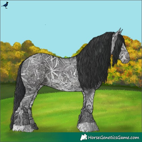 Horse Color:Black Ice