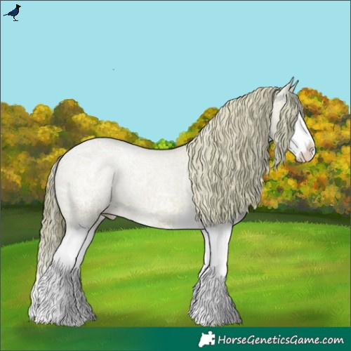 Horse Color:Watercolor Red Ice Roan Splash Appaloosa 
