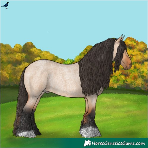 Horse Color:Bay Roan Dun Rabicano 