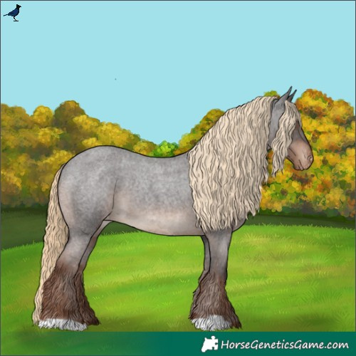 Horse Color:Liver Red Roan Appaloosa