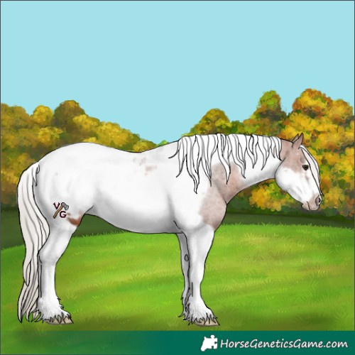 Horse Color:Silver Bay Tobiano Frame 