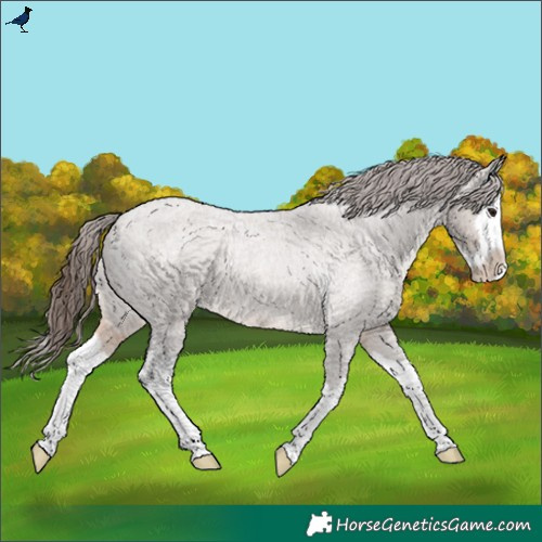 Horse Color:Brown Roan Dun Splash Varnish 