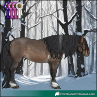 Horse Color:Brown Dun Tobiano 