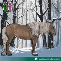 Horse Color:Silver Brown Dun Tobiano 