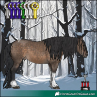 Horse Color:Brown Dun Tobiano 