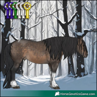 Horse Color:Brown Dun Tobiano