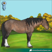 Horse Color:Brown Dun Tobiano 