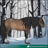 Horse Color:Brown Dun Tobiano 