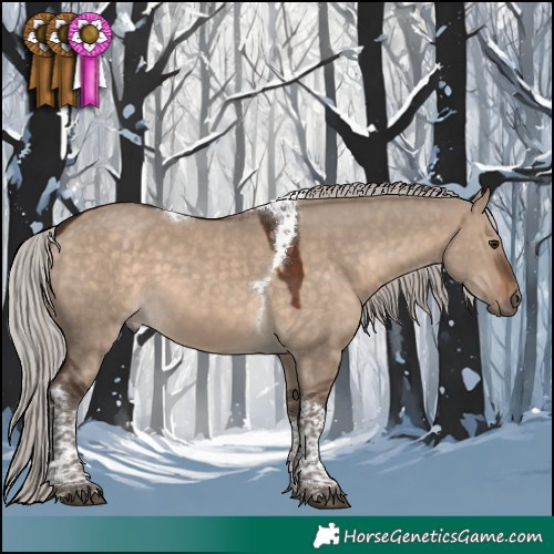 Horse Color:Silver Brown Dun Tobiano 