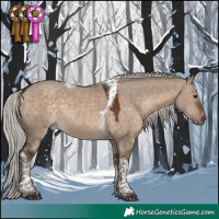 Horse Color:Silver Brown Dun Tobiano 