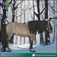 Horse Color:Brown Dun Tobiano