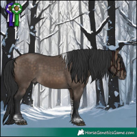 Horse Color:Brown Dun Tobiano 