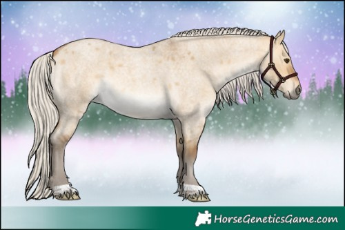 Horse Color:Silver Buckskin Roan Dun 