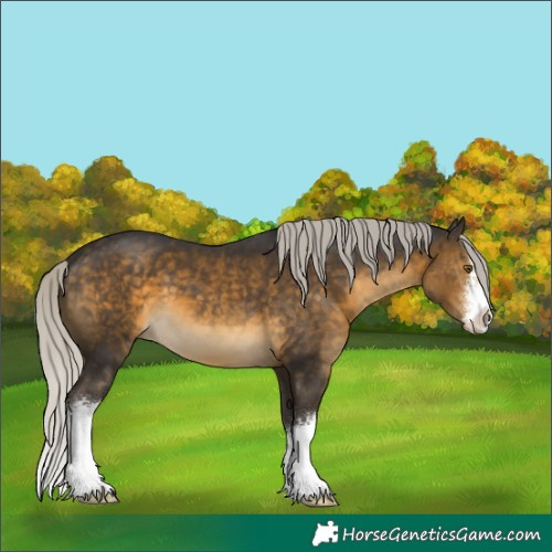 Horse Color:White Spotted Silver Buckskin 