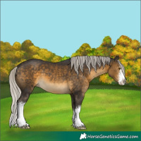 Horse Color:White Spotted Silver Buckskin