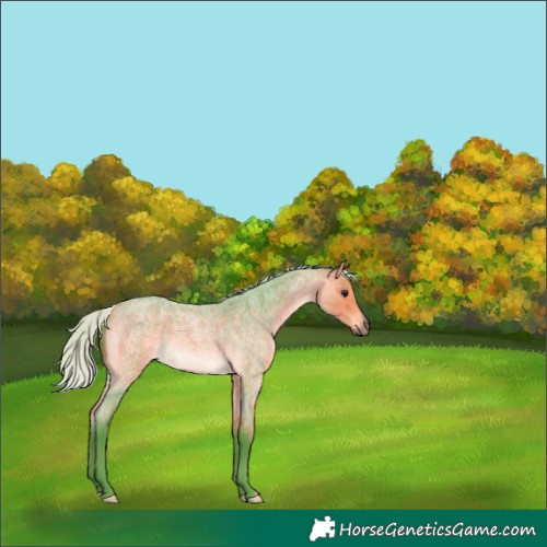 Horse Color:Watercolor Silver Buckskin Roan 