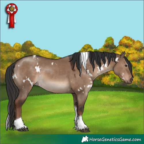 Horse Color:White Spotted Liver Red Dun Tobiano 