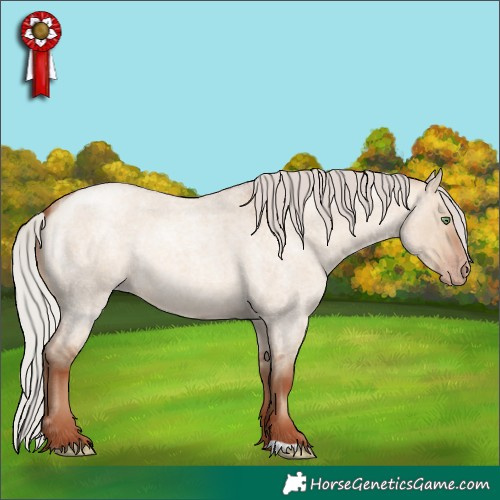 Horse Color:Silver Sable Champagne Roan Dun 