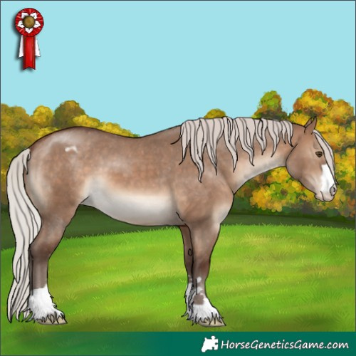 Horse Color:Silver Brown Dun Appaloosa 