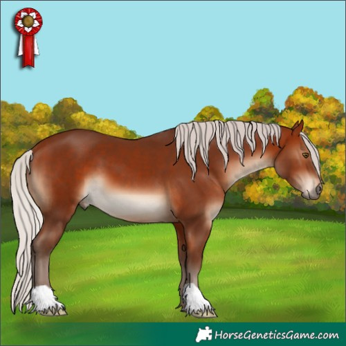 Horse Color:Silver Bay 