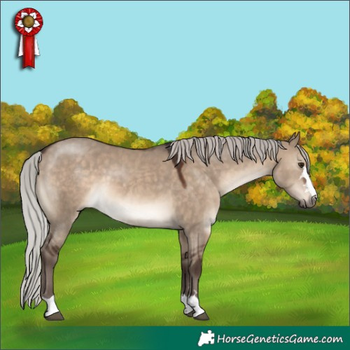Horse Color:Silver Brown Dun 