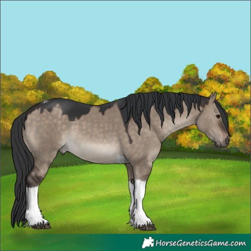 Horse Color:Brown Dun Tobiano 