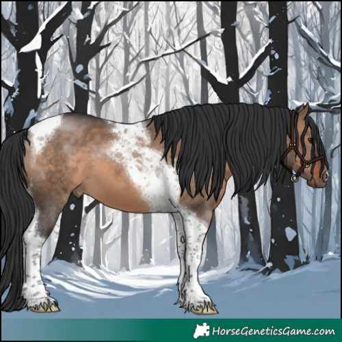 Horse Color:Brown Dun Tobiano 