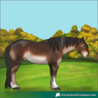 Horse Color:Liver Chestnut Tobiano 