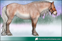 Horse Color:Silver Bay Roan Rabicano 