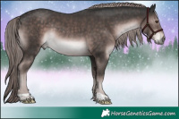 Horse Color:Platinum Liver Chestnut Rabicano 