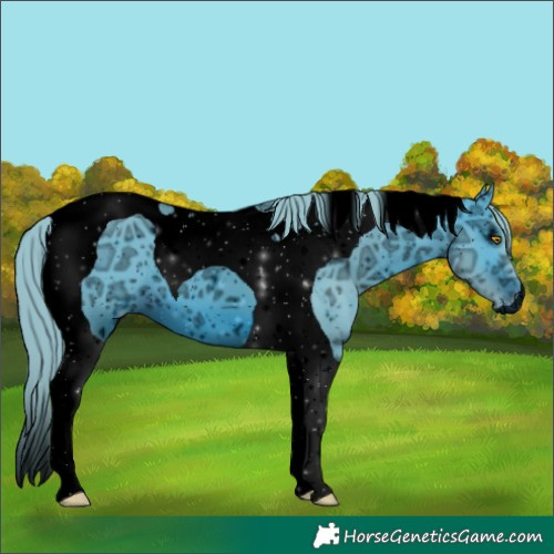 Horse Color:ERROR: UNKNOWN ANOMALY