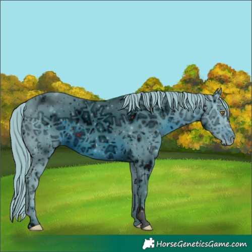 Horse Color:ERROR: UNKNOWN ANOMALY
