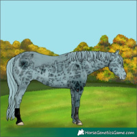 Horse Color:ERROR: UNKNOWN ANOMALY