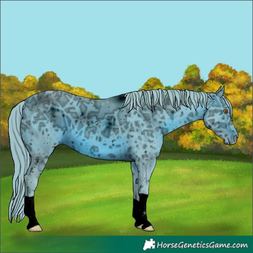 Horse Color:ERROR: UNKNOWN ANOMALY