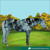 Horse Color:ERROR: UNKNOWN ANOMALY