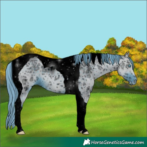 Horse Color:ERROR: UNKNOWN ANOMALY