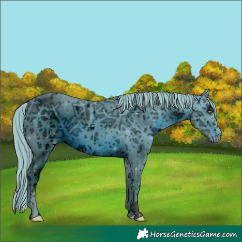 Horse Color:ERROR: UNKNOWN ANOMALY