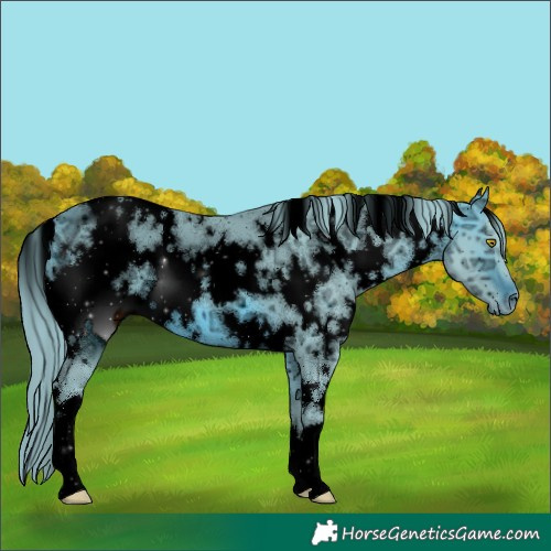 Horse Color:ERROR: UNKNOWN ANOMALY