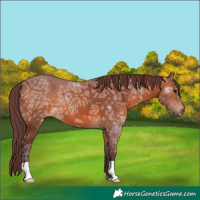 Horse Color:Chocolate Bay Ice 