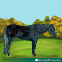 Horse Color:ERROR: UNKNOWN ANOMALY