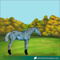 Horse Color:ERROR: UNKNOWN ANOMALY