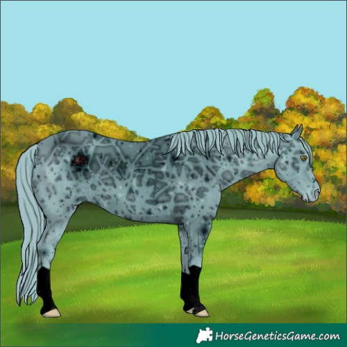 Horse Color:ERROR: UNKNOWN ANOMALY