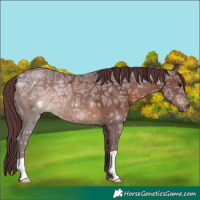 Horse Color:Chocolate Brown Ice 