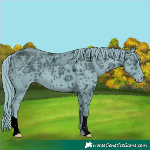 Horse Color:ERROR: UNKNOWN ANOMALY
