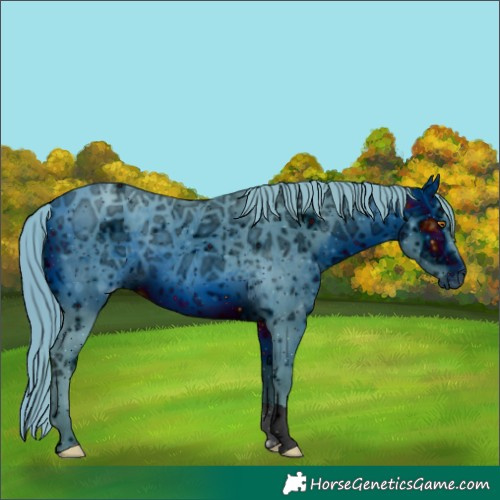Horse Color:ERROR: UNKNOWN ANOMALY